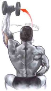 extensão-triceps-sentado-halter
