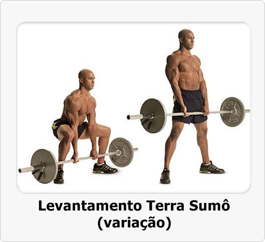 LEVANTAMENTO TERRA SUMÔ VS TERRA TRADICIONAL em 2023  Exercícios de  treino, Projeto de fitness, Programas de treino