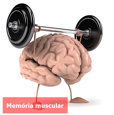 Memória-muscular