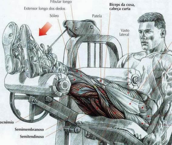Treino abcde Flexão de joelhos sentado na cadeira (máquina)