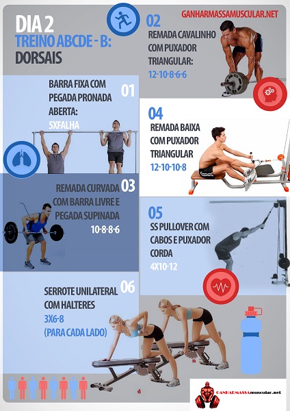 Um Guia Completo De Treino Abcde + Planilha De Treino