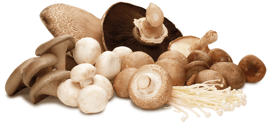 Alimentos-veganos-ricos-em-proteínas-cogumelos